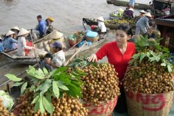 Saigon - Mekong Delta - Cai Be floating market - Can Tho 