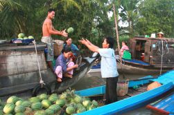 Saigon - Mekong Delta - My Tho - Ben Tre “Coconuts homeland”