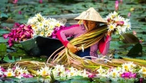Beyond Hanoi and Saigon: Why the Mekong Delta Should Be on Every Traveler's List