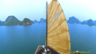 victorycruisehalong4