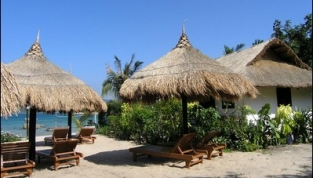 whale-island-resort3