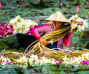 Beyond Hanoi and Saigon: Why the Mekong Delta Should Be on Every Traveler's List