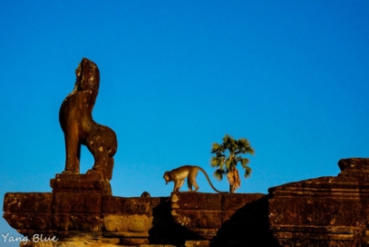 ANGKOR TREKKING 6 DAYS