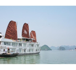 Pelican Halong Cruise