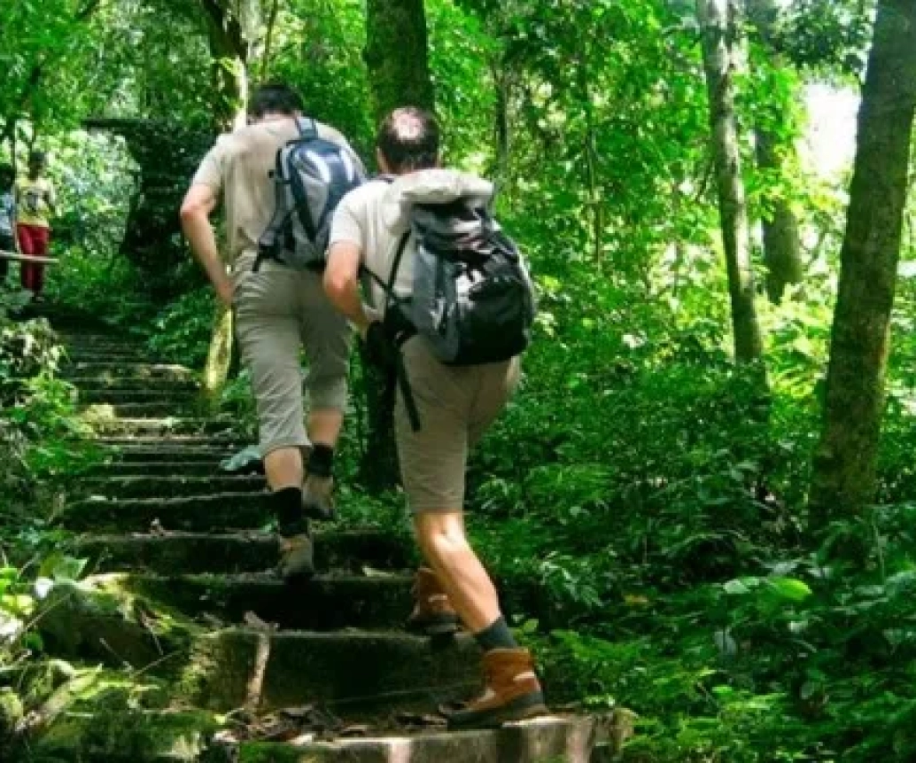 CUC PHUONG NATIONAL PARK: TREKKING AND IMMERSIVE NATURE EXPERIENCES