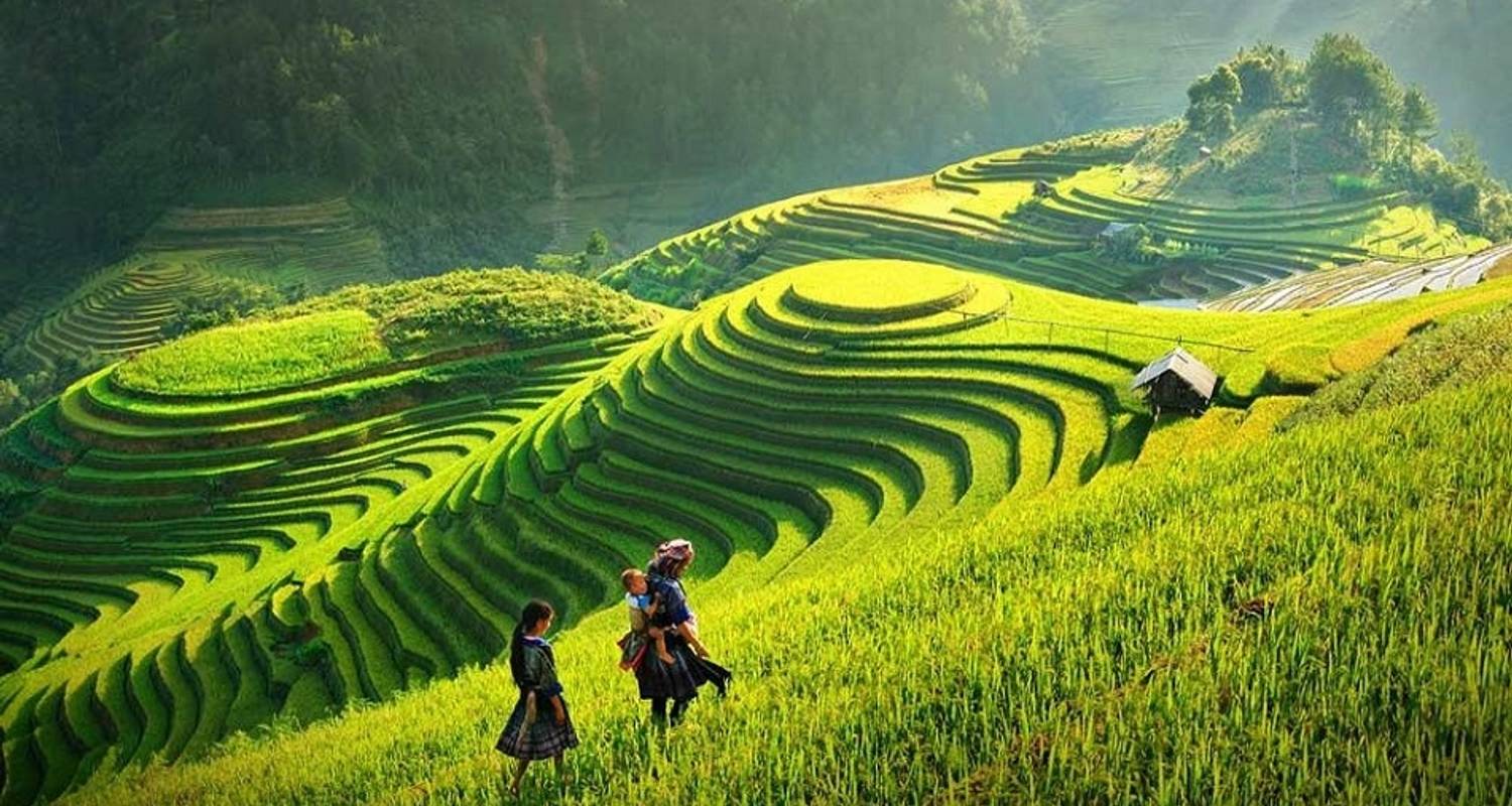 natural landscape in Vietnam