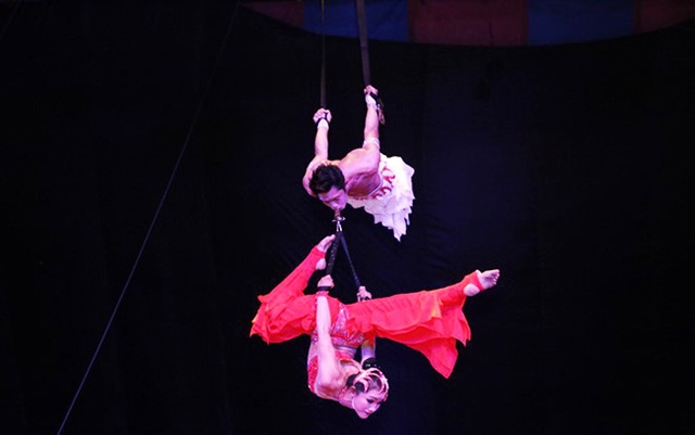 The History and Development of Vietnam Circus