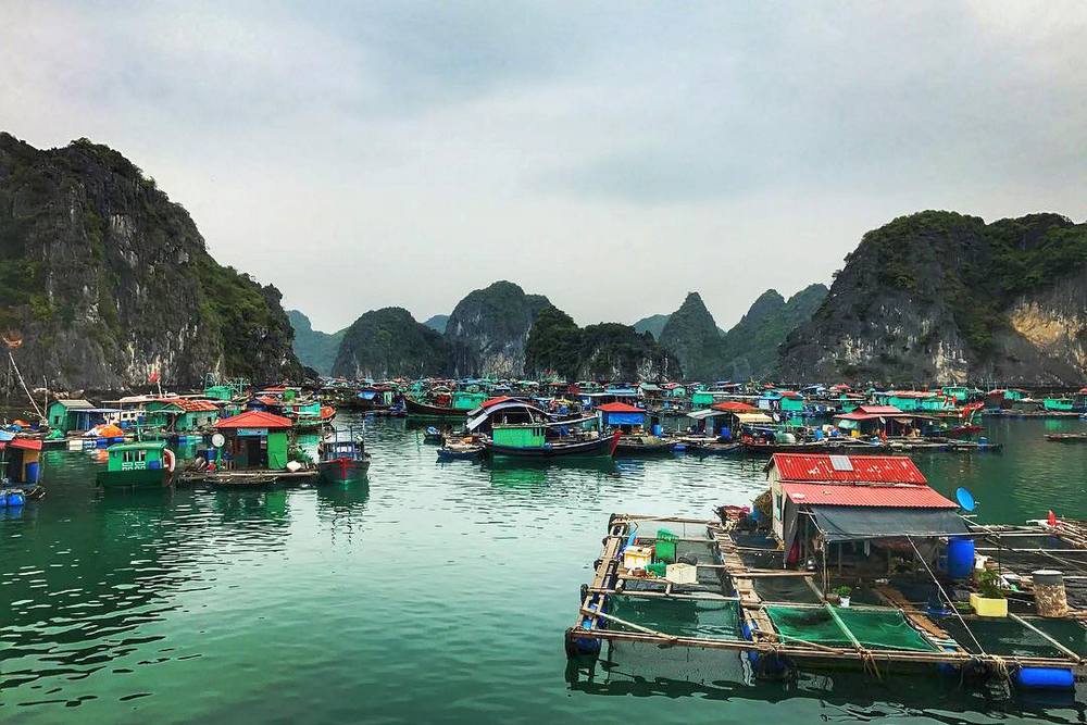 Floating village in Ha Long Bay 
